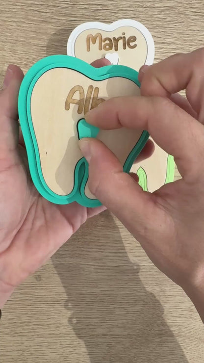 Boite à dents de lait de couleur